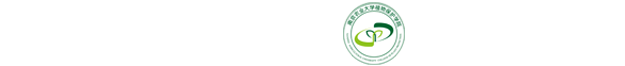 中文av
